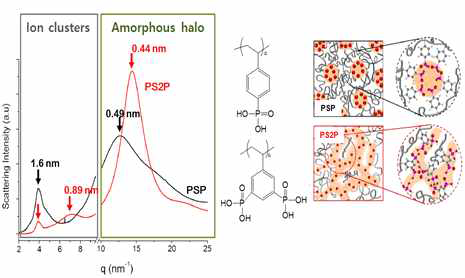 상이한 이온 응집 거동을 보이는 인산화된 단일 고분자