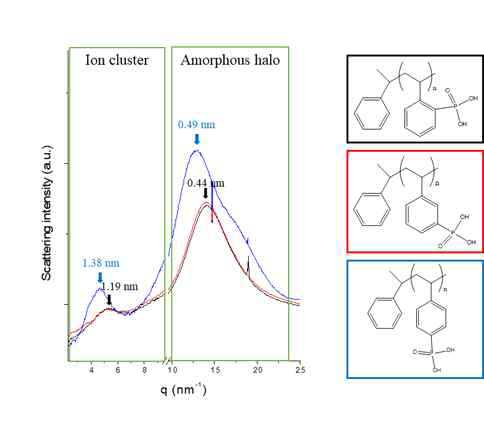 인산기의 위치에 따라 상이한 이온 응집 거동을 보이는 단일 고분자