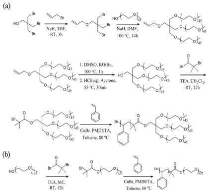 (a) PS-b-PEO3와 (b) 대조군 PS-b-PEO의 합성 스킴