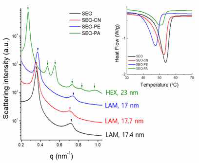말단 치환 블록 공중합체의 SAXS 데이터와 DSC 데이터