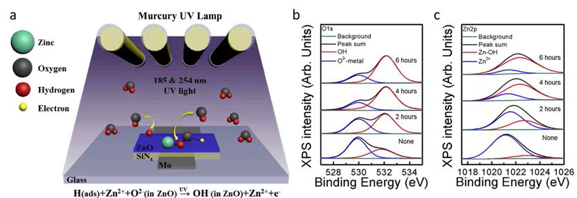 (a) 광화화적 수소 도핑을 위한 UV-Irradiation 플랫폼 모식도. UV-Irradiation 시간에 따른 (b) O 1s 및 (c) Zn 2p 준위를 나타내는 XPS 스펙트라