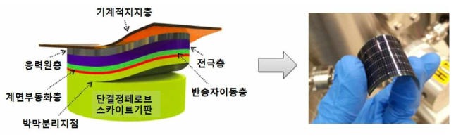 박막분리를 이용한 단결정 페로브스카이트 유연 박막 태양전지 제작 공정 개요