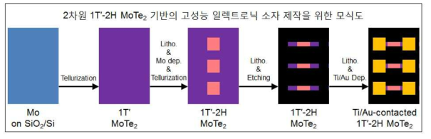 2차원 1T′-2H MoTe2 기반의 고성능 일렉트로닉 소자 제작을 위한 모식도