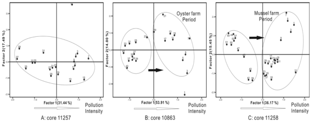 코어 11257(A), 코어 10863 (B), 코어 11285 (C)에서 산출하는 저서성유공충 군집과 퇴적물의 지화학 성분과의 산점도 분포도