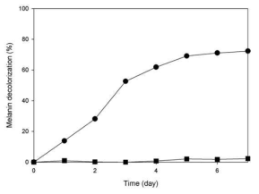 Rate of melanin decolorization during enzyme reaction of laccase from Irpex sp. JS7. Decolorization of melanin by enzyme at 37℃ for 7 days. Enzyme solution (●), Control (■)