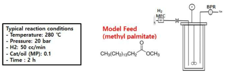 Semi-batch reaction system for one-pot reaction using methyl plamitate (MP) as model compound