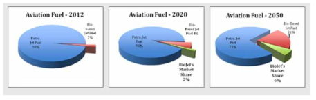 세계 항공유 및 바이오 항공유 시장 전망