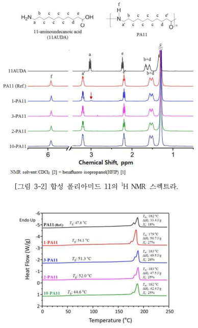 합성 폴리아미드 11의 DSC thermogram