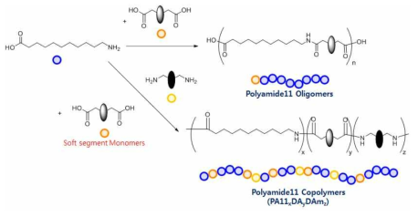 Synthesis scheme of polyamide11 random copolymers