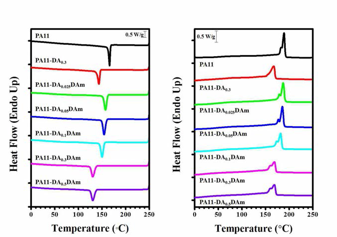 합성 폴리아미드11 공중합체의 DSC thermogram