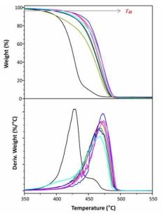 합성 폴리아미드11 공중합체의 TGA 그래프
