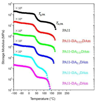 합성 폴리아미드11 공중합체의 DMA 그래프