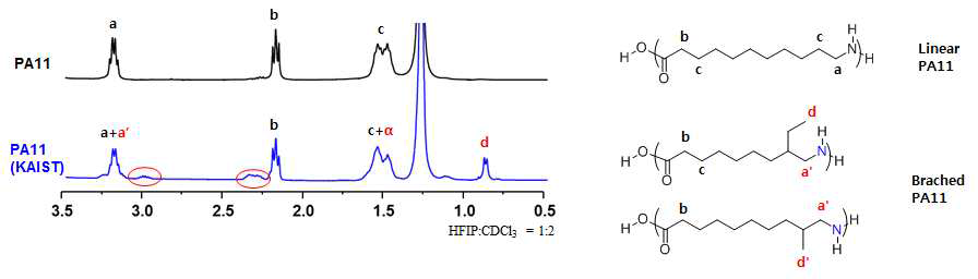합성 PA 11 의 구조 및 1HNMR 비교 그래프