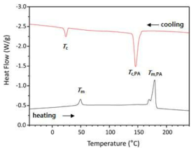합성 폴리에스터-아미드 블록 공중합체의 DSC thermogram