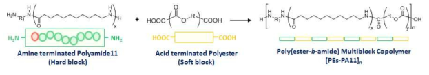 Synthesis scheme of polyester-amide block copolymers