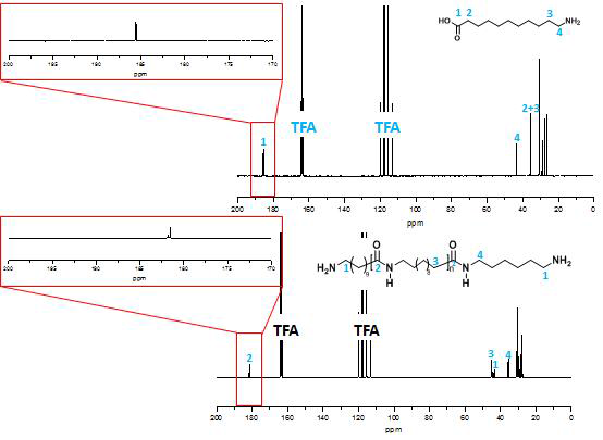 합성 Prepolymer 폴리아미드 11의 13C NMR 스펙트라