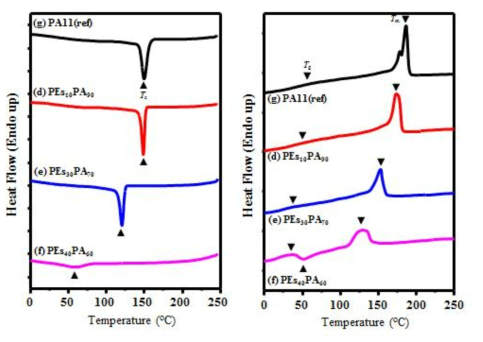 합성 폴리아미드 11 블록 공중합체의 DSC thermogram
