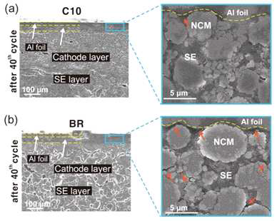바인더 도입 셀의 충/방전 후 전극 단면 SEM 이미지