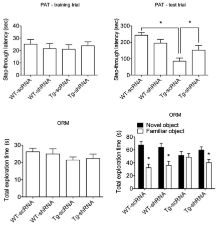 REDD1 shRNA가 5XFAD 마우스의 기억력 감퇴에 미치는 영향
