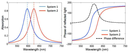 Lorentz dispersion model과 Coupled Mode Theory에 기반한 공진 및 위상 분석