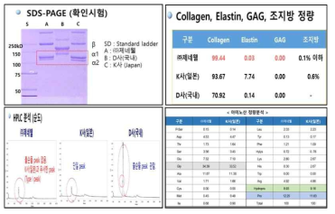 제조한 고순도 콜라겐의 분석결과