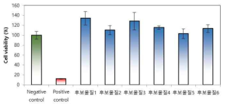 실리콘 원료 세포독성시험 결과