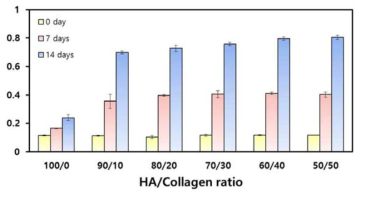 HA/Collagen 비율 별 세포증식 비교