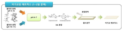비가교 매트릭스 제조방법