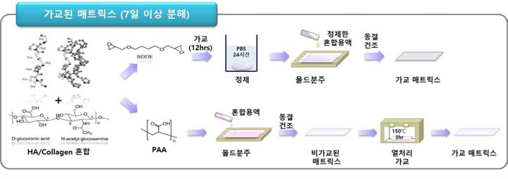 가교 매트릭스 제조방법