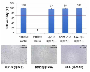 창상소재용 매트릭스 세포독성시험 결과