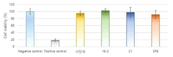 창상소재 비가교 매트릭스 세포독성시험 결과