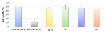 창상소재 가교 매트릭스 세포독성시험 결과