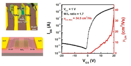 2차원 Graphene 전극을 적용한 2차원 MoS2 트랜지스터 소자 광학 이미지, 소자 모식도 및 전류-전압 특성