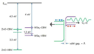 ZnO-WSe2 이종 접합 에너지 다이어그램