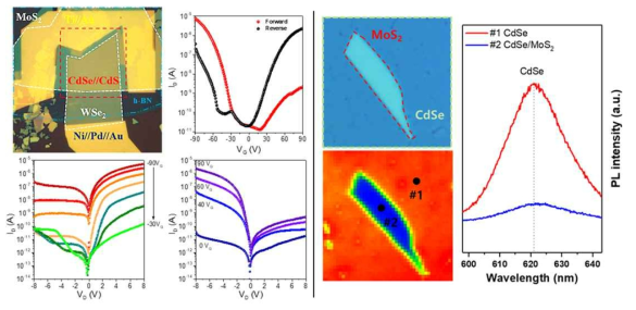 (좌) WSe2/h-BN/CdSe/MoS2 소자 구조 및 게이트 전압에 다른 다이오드 특성 (우) CdSe/MoS2 구조에서의 발광 특성 매핑 측정 및 위치에 따른 발광 세기 정도