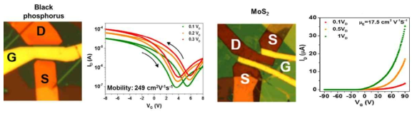 흑린과 MoS2 트랜지스터 소자의 이미지 및 전기적 특성