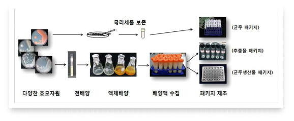 미생물자원에 대한 균주생산물, 추출물 및 다양한 패키지 제조 과정