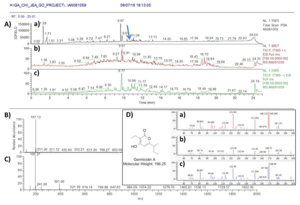 AN081059 균주 배양액 추출물의 LC/MS 분석 결과. A) PDA(a) 및 positive (b) 와 negative (c) total mass spectrum, B) RT 10.8 분 peak의 positive mass 결과 germicidin A와 동일한 m/z 197.13 [M+H]+이 확인, C) RT 10.8분 peak의 negative에서 195.27 [M-H]- 확인, D) germicidin A 구조 및 분자량. a) mass 10.8 min peak 의 MS/MS fragment pattern, b) 합쳐진 peaks pattern, c) 표준품 germicidin A 의 MS/MS fragment pattern peaks