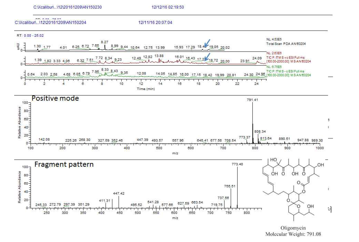AN150204균주 배양액 추출물의 LC/MS 분석 결과. PDA RT 18.4분 peak에서 확인된 oligomycin A 와 동일한 m/z 791.4[M+H]+ 과 m/z 791.4 [M+H]+ peak의 MS/MS peak들
