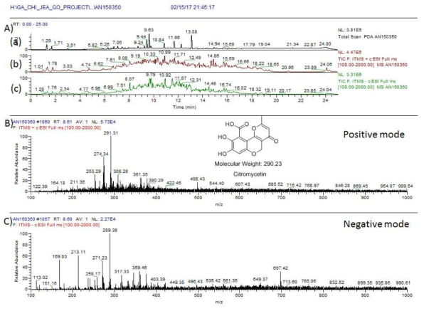 AN150350 균주 배양액 추출물의 LC/MS 분석 결과. citremycetin 화합물과 93.5% 이상의 fragmentation pattern 일치도를 보이는 MS peak 이 positive m/z 291.3 [M+H]+, negative mass 289.3 [M-H]- 확인