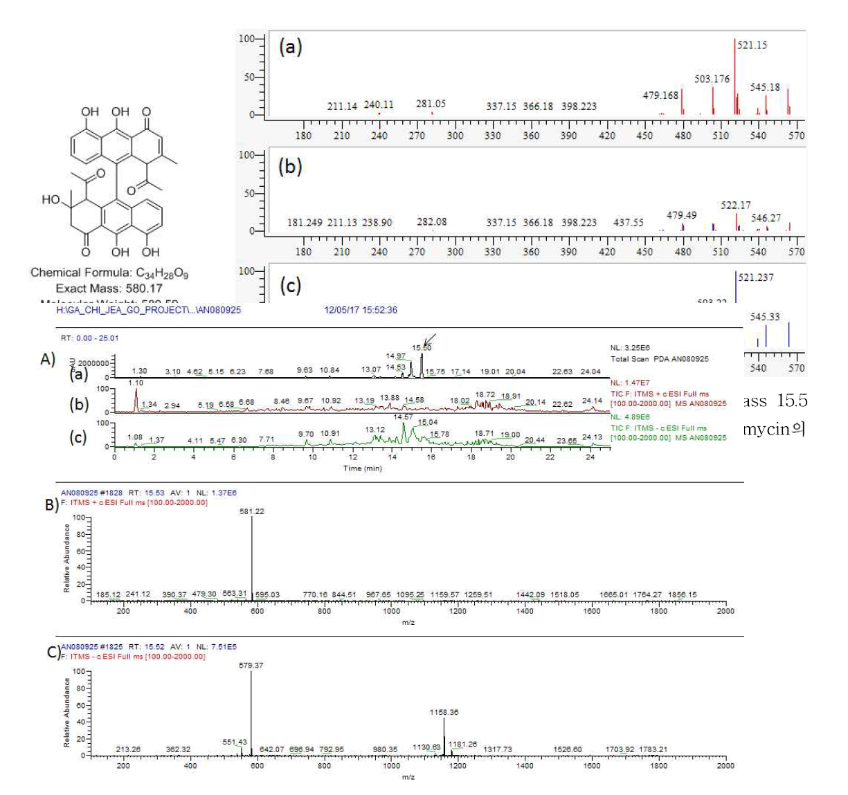 AN080925 균주 배양액 추출물의 LC/MS 분석 결과. A) PDA spectrum (a) 및 positive (b) 와 negative (c) total mass spectrum, B) RT 15.5 분 peak의 positive mass 결과 setomimycin와 동일한 m/z 581.2 [M+H]+ C) negative에서 579.37 [M-H]- 확인