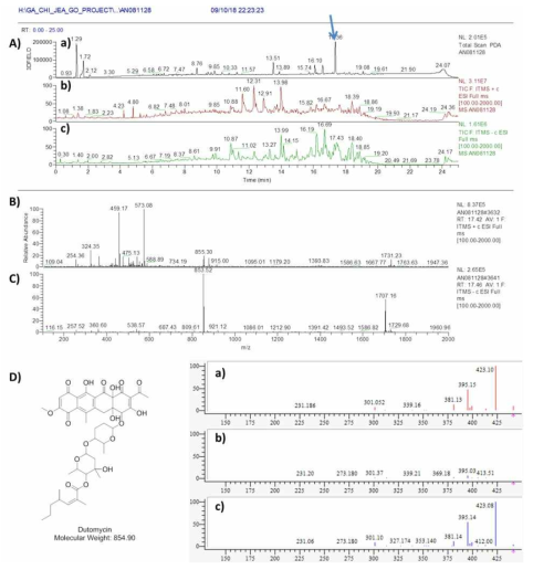 AN081128 균주 배양액 추출물의 LC/MS 분석 결과. A) PDA(a) 및 positive (b) 와 negative (c) total mass spectrum, B) RT 17.4 분 peak의 positive mass 결과 dutomycin와 동일한 m/z 855.3 [M+H]+ 이 확인, C) RT 17.4 분 peak의 negative mass 결과 dutomycin와 동일한 m/z 853.5 [M-H]- 이 확인, D) Dutomycin 구조 및 분자량. a) mass 17.4 min peak 의 MS/MS fragment pattern, b) 합쳐진 peaks pattern, c) 표준품 dutomycin 의 MS/MS fragment pattern peaks