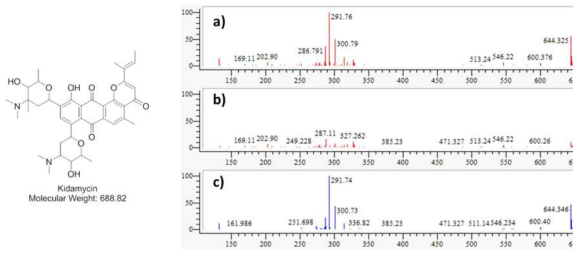 AN081154 균주 배양액 추출물에서 확인한 kidamycin 구조 및 분자량. a) mass 8.9min peak 의 MS/MS fragment pattern, b) 합쳐진 peaks pattern, c) 표준품 kidamycin 의 MS/MS fragment pattern peaks
