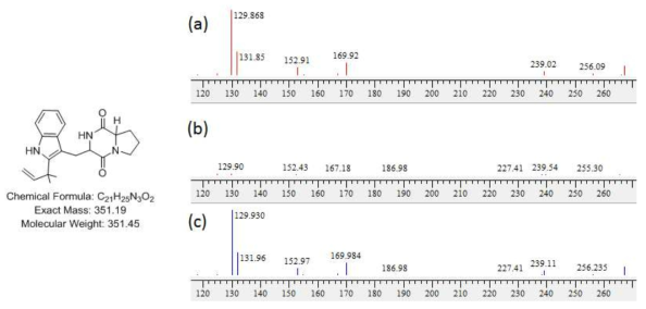 14_11_F5 균주 배양액 추출물에서 확인한 deoxybrevianamide E 구조 및 분자량. a) mass 12.9 min peak 의 MS/MS fragment pattern, b) 합쳐진 peaks pattern, c) 표준품 deoxybrevianamide E의 MS/MS fragment pattern peak들