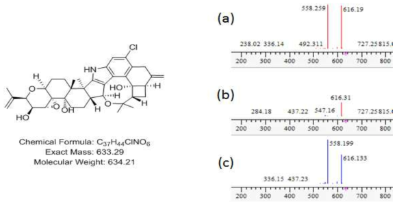 14_6_F5_4 균주 배양액 추출물에서 확인한 penitrem A 구조 및 분자량. a) mass 12.9 min peak 의 MS/MS fragment pattern, b) 합쳐진 peaks pattern, c) 표준품 penitrem A의 MS/MS fragment pattern peaks