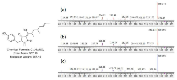 14_80_F3_3 균주 배양액 추출물에서 확인한 tolypocladenol C 구조 및 분자량. a) mass 12.9 min peak 의 MS/MS fragment pattern, b) 합쳐진 peaks pattern, c) 표준품 tolypocladenol C의 MS/MS fragment pattern peaks
