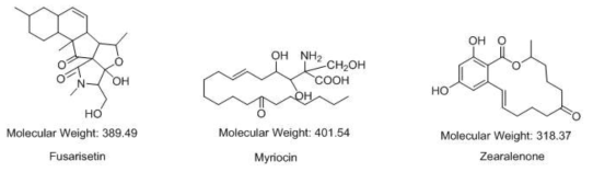 14-5-f11, 14-257-f2, 그리고 14-10-f10 균주 배양액 추출물의 LC/MS 분석 결과 확인된 화합물들