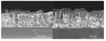 수열합성을 통해 얻은 투명전도성 기판에 코팅된 산화몰리브덴 나노구조체의 단면 SEM 이미지(예시)(x1k)