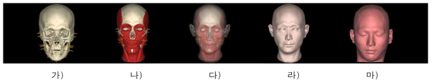 기존 피부두께 자료를 이용한 얼굴복원(남자, 23세). 가) 머리뼈와 피부두께기둥. 나) 머리뼈와 근육모델. 다) 복원얼굴의 투영상. 라) 복원얼굴. 마) 실제얼굴