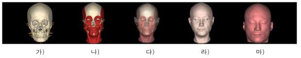 기존 피부두께 자료를 이용한 얼굴복원(남자, 45세). 가) 머리뼈와 피부두께기둥. 나) 머리뼈와 근육모델. 다) 복원얼굴의 투영상. 라) 복원얼굴. 마) 실제얼굴